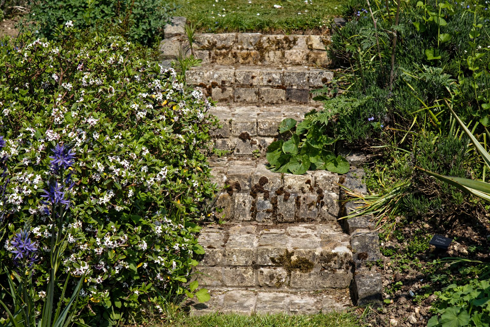 Stone garden steps