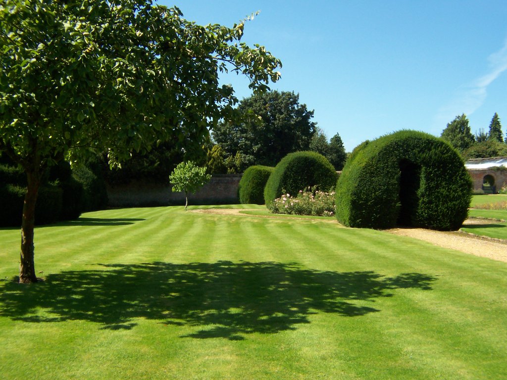 Striped lawn and hedges cut into arches